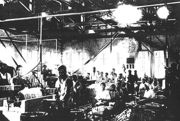 缶詰工場の内部